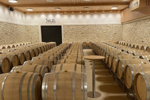 Benefizkonzert im Weingut Salzl Seewinkelhof