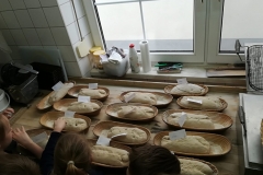 IMG-20190418-WA0013