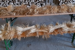 20211001_150736-scaled