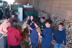 20211001_160510-scaled