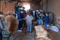 20211001_164143-scaled