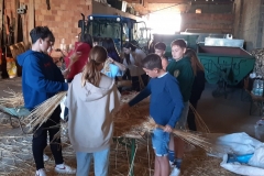 20211001_164205-scaled