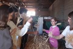 20211002_163545-scaled