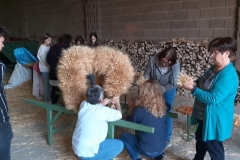 20211002_180417-scaled