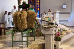 IMG_8350