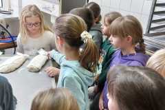 IMG-20240123-WA0015