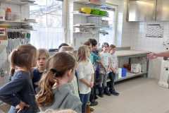 IMG-20240123-WA0019