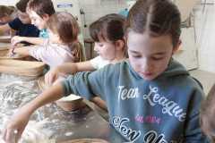 IMG-20240123-WA0021