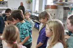 IMG-20240123-WA0023
