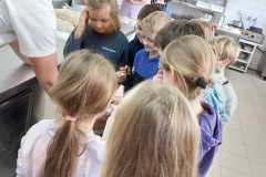 IMG-20240123-WA0024