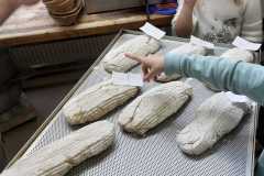 IMG-20240123-WA0029