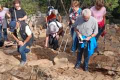 IMG-20220925-WA0047