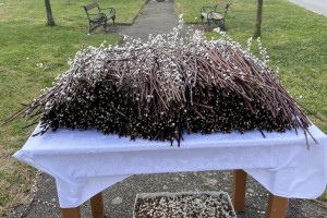 Palmsonntag bis Ostersonntag 2023