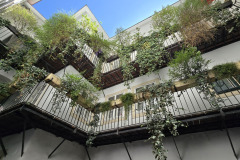 Pfarrwallfahrt-2025-WIEN_024