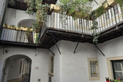 Pfarrwallfahrt-2025-WIEN_025