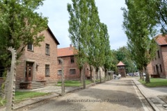 Konzentrationslager-Ausschwitz-Polen-2022_03