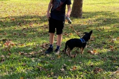 1_IMG-20211004-WA0010