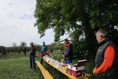 Pfarrweingarten-Lese-2020_04